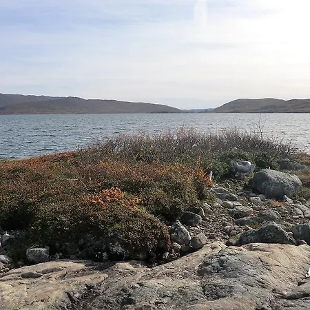 Husky Fjellgard Haukeli