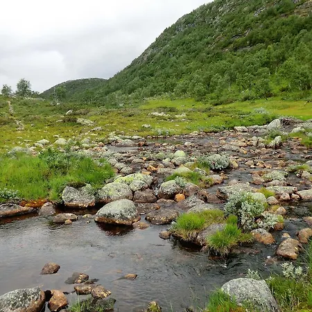 Husky Fjellgard Feriegård