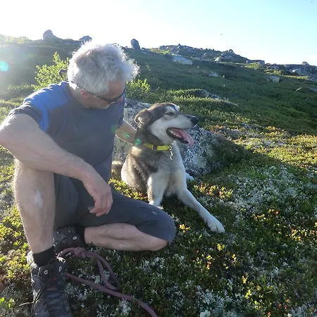 Husky Fjellgard Haukeli