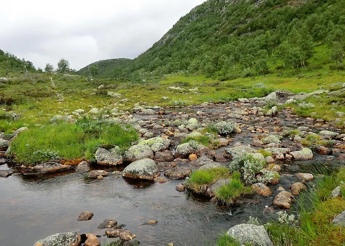 Husky Fjellgard Lantgård