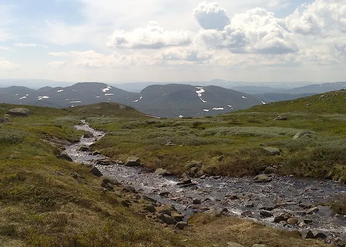 Husky Fjellgard * Haukeli