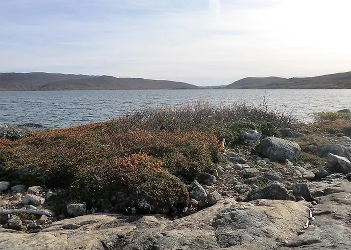 Husky Fjellgard Haukeli