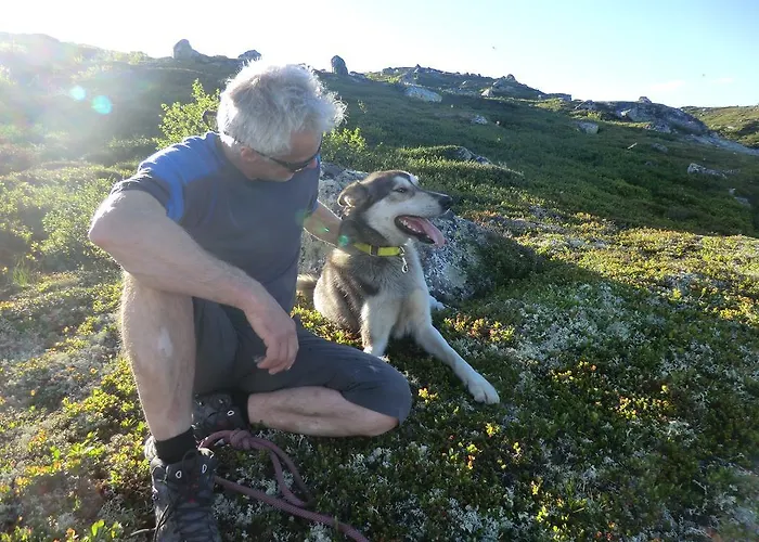 Husky Fjellgard Haukeli